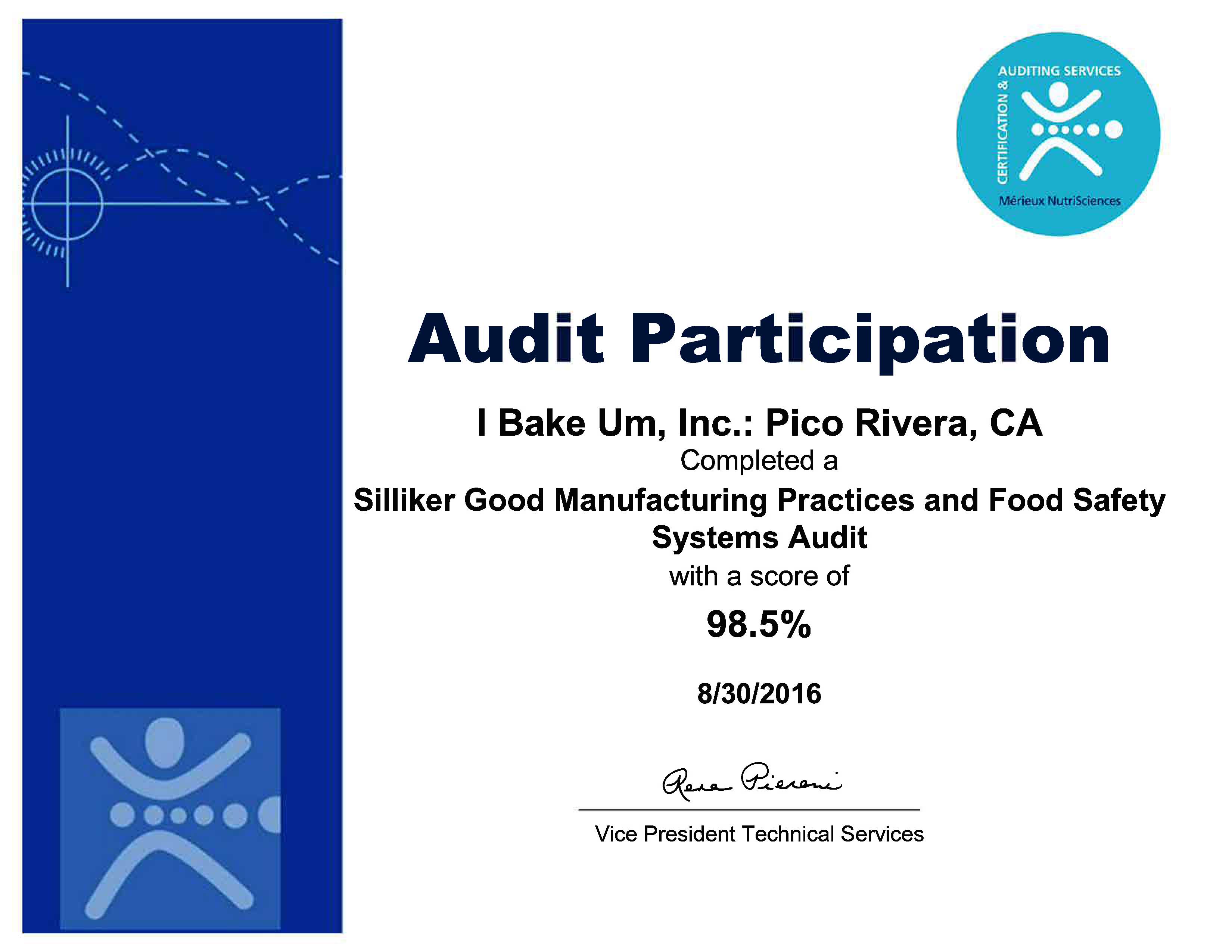 2016-audit-certificate